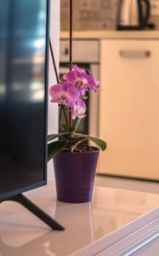 奥瑞比克Apartman Boni公寓 外观 照片